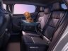 Renault Scenic E-Tech Electric seggiolino e TEPtorina di sicurezza per cani
