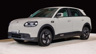 Chery Q