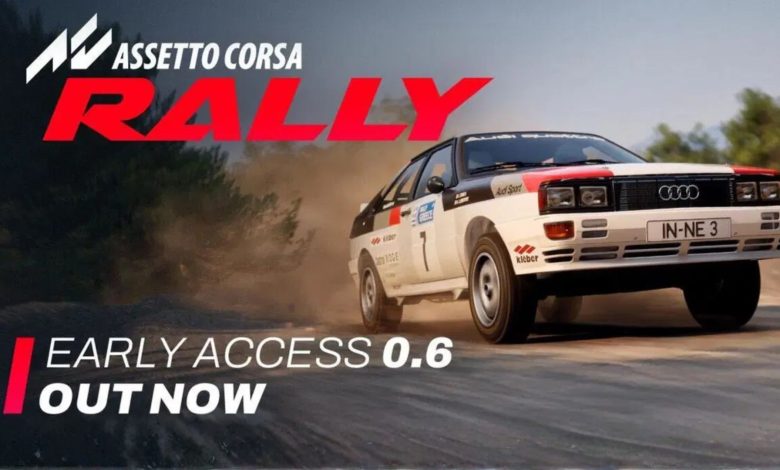 Assetto Corsa Rally update 0.6