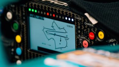 Partenza gara F1 Sepang bug software